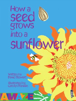 cover image of How a seed grows into a sunflower